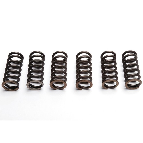Ebc clutch spring set - spring, (6