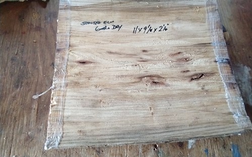 Spalted elm bowl blank wood - elm,