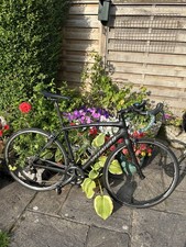 Specialized SL4 54 Ultegra Road Bike