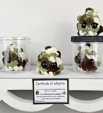 Novelty Plush BUD/ weed nug