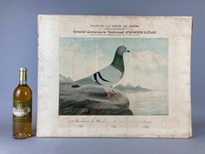 ANTIQUE PIGEON RACING