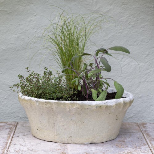 Large white dish bulb planter - white,