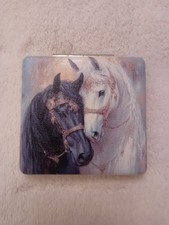 Black & White Horse Beauty