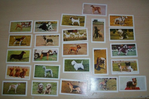 Dogs 1961 hornimans tea - dogs-1961,