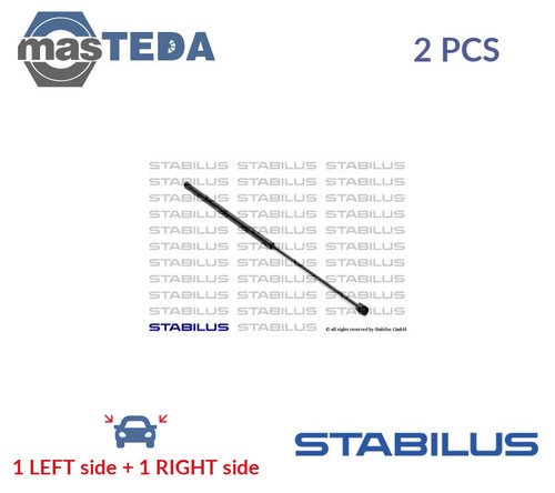 0421vg tailgate boot struts - tailgate,