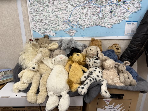 Jellycat bundle job - job, lot