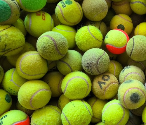 Used tennis balls for dogs - tennis,