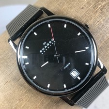 Skagen Titanium Women 170LTMB