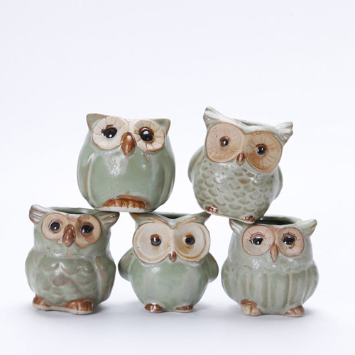 5pcs small owl - small,