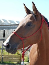 Easy does soft - easy-does-it, halter