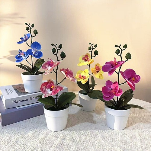 Realistic phalaenopsis - 3d,