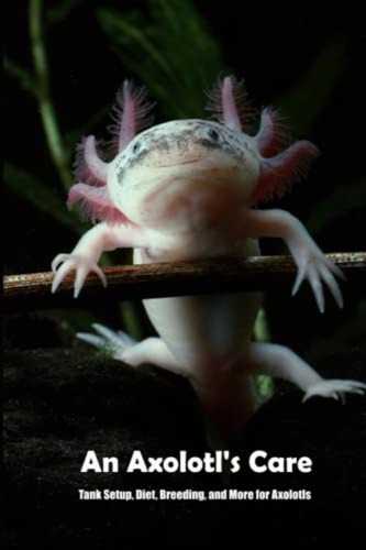 Axolotl care tank - axolotl's,
