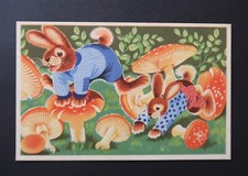 Rabbits dressed Mushrooms