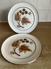 Denby Cotswold 2 x 20.5 cm