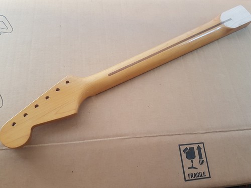 Fender stratocaster maple - stratocaster,