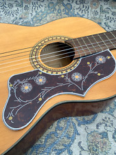 1 X  Acoustic guitar deluxe
