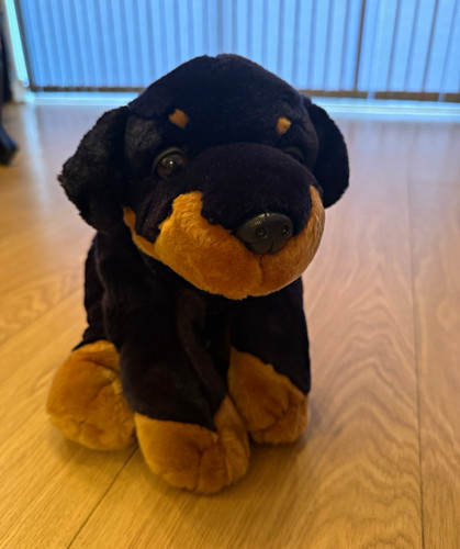 Rottweiler dog plush - rottweiler, toy