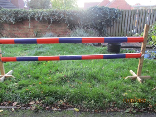 Equestrian horse jump pole - horse,