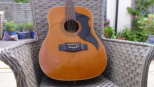 Vintage 1970s eko ranger - vintage,