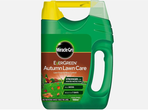 Evergreen autumn lawn care - autumn,