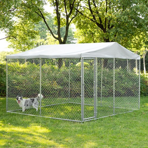 Large outdoor dog - large,