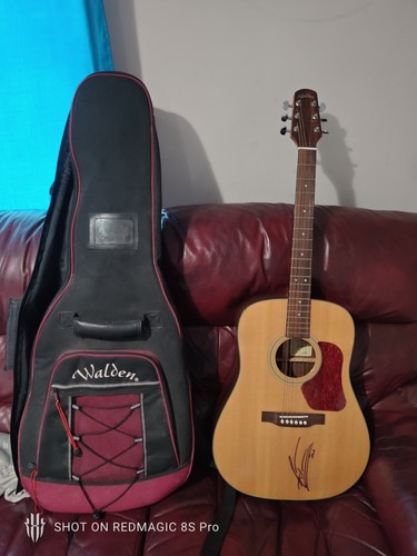 Walden natura d560t acoustic - walden,