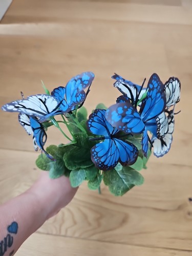 Blue and white butterfly - blue,