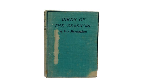 Birds the seashore h - of, j