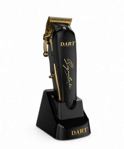 Dart professional signature - professional,