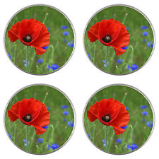 Poppy/Poppies - Flowers - 4 x