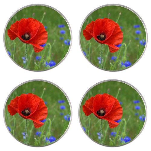 Poppy poppies flowers 4 x - poppy/poppies,