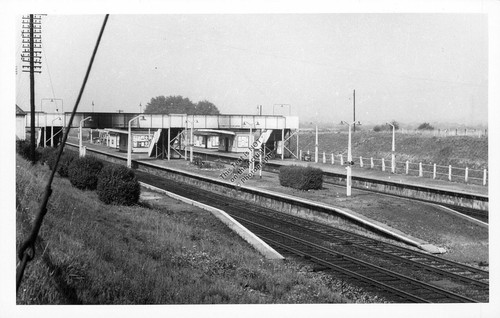 Newbury racecourse train - newbury,