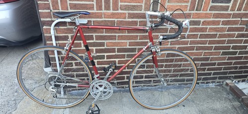 Windsor carrera lugged steel - carrera,