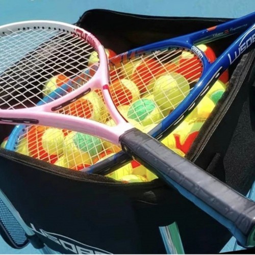 Tennis ball carrier carry case - ball,