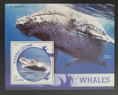 Sierra leone 2016 marine - sierra,