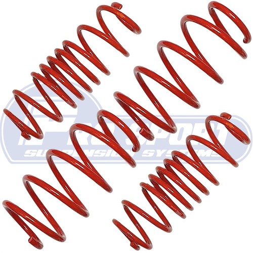 Pro sport lowering - sport,