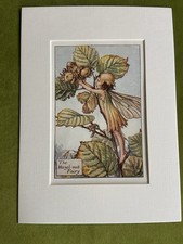 ‘Hazel Nut’ Flower Fairy
