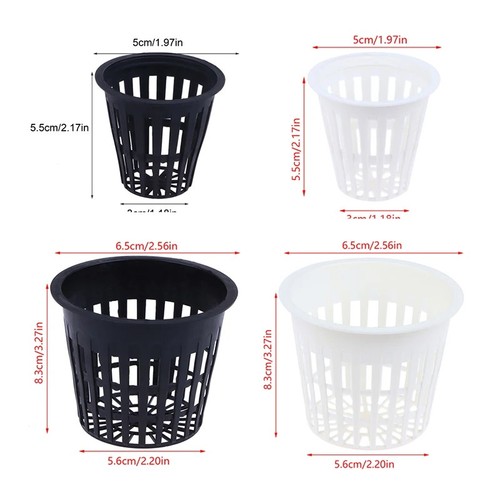10pcs inch grow - 2,