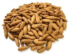 Dry fruits Chilgoza Pine Nut