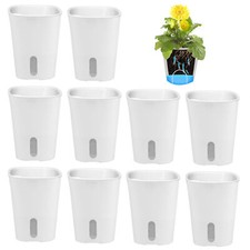 10X Hydroponic Plant Pot Plant