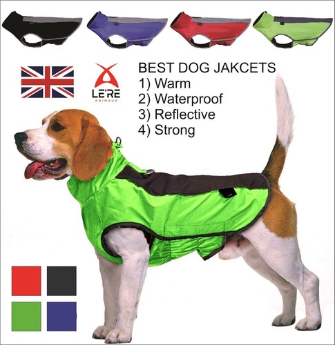 Dog coats jacket - dog, coats/jacket