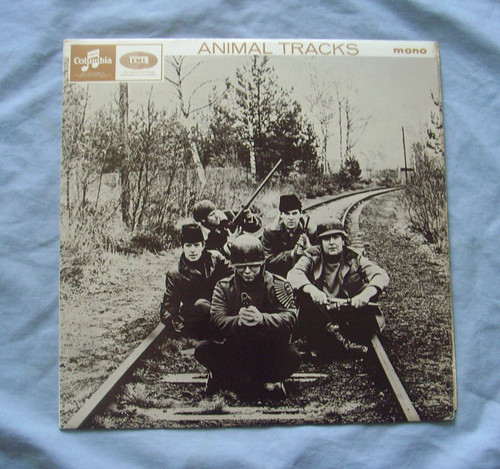 The animals animal tracks - the,