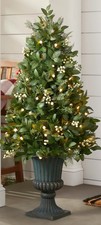 Balsam Hill White Berry Cypress Potted Tree Led Clear Lights 4' (120cm) 