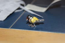 Saturno Silver and Enamel