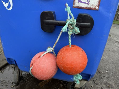 Pair orange sea - pair,
