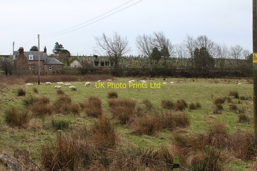 Photo 6x4 grazing land for - 6x4,