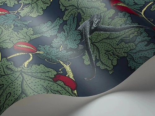 Roll cole son fornasetti - cole,