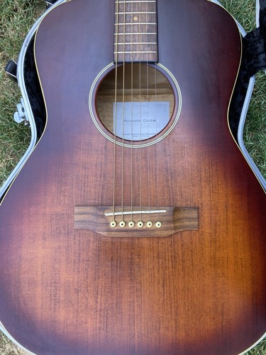 Takamine eg5013s electric - eg5013s,