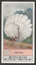 SMITHS-FOWLS PIGEONS & DOGS 1908-#08- FANTAIL