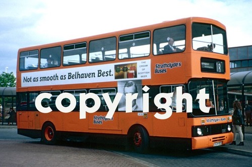 Bus photo strathclyde - bus, buses